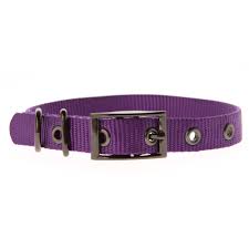#1 rogz glow in the dark reflective. Top Paw Gunmetal Core Buckle Dog Collar Dog Collars Petsmart