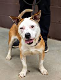 ⚠️😭😭 Trigger Warning ⚠️