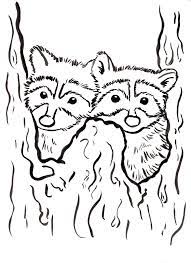 Your use of our printables is subject to our licensing terms and terms of use. Raccoon Coloring Page Art Starts