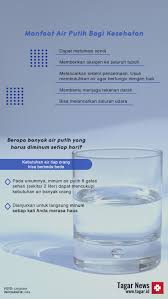 Jambu air putih memiliki kadar air sekira 93 persen, hal ini dapat menjaga tubuh agar tetap terhidrasi dan dingin saat udara panas. Infografis Manfaat Air Putih Bagi Kesehatan