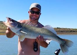 Fishing spots near red lodge mt. Fishing Report As Rivers Drop Dry Fly Fishing Gets Hot Outdoors Billingsgazette Com