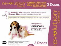 Safe and easy to use. Revolution For Cats Selamectin