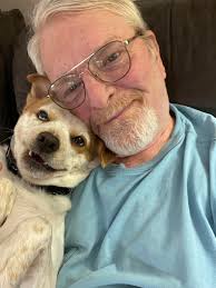 My inspirational whippet girl Kk ❤  https://m.facebook.com/groups/1819610234931141 My Kk is living her life to  the fullest, she runs free off lead, plays with her toys, running with her  doggie friends but most