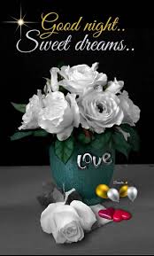 White Rose Good Night Sweet Dreams Pictures Photos And Images For Facebook Tumblr Pinterest And Tw In 2020 Good Night Sweet Dreams Good Night Flowers Good Night