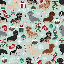 Get hd christmas puppies wallpapers available also in many wide high resolution for all devices desktops. Dachshund Christmas Wallpapers Top Free Dachshund Christmas Backgrounds Wallpaperaccess