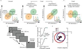 Check spelling or type a new query. Simultaneous Multi Area Recordings Suggest A Novel Hypothesis About How Attention Improves Performance Biorxiv
