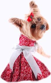 Navigate to monkeepetboutique.co.uk and add the items you'd like to buy to your shopping cart. Christmas Puppy Dress Harness Dress For Dogs Holiday Puppy Dress Pet Boutique Christmas Dog Dress Christmas Dog Outfits Puppy Dress