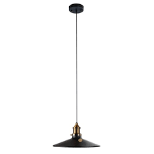 For enery efficiency, led edison style bulb is recommended. Industrial Filament Edison Vintage Steel Pendant Replica Lights