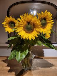 Sally Liddle (@LiddleSally)