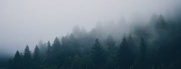 Condensed water vapor in cloudlike masses lying close to the ground and limiting visibility. Fog And A Story Of Unexpected Encounters Oupblog