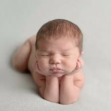 Mustelier Photography