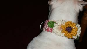 Use the basic knit stitch to make a back piece and an underpiece. Crochet Flower Collar A Pet Collar Leash Yarncraft On Cut Out Keep