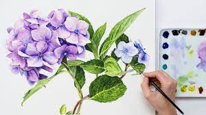 Hydrangea Blooms Can Be Daunting To Paint But Never Fear As In This Video I Show You How To T Watercolor Flowers Tutorial Flower Painting Watercolor Hydrangea