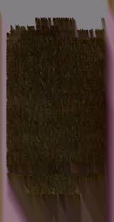 Family memorial. : Part I. Genealogy of fourteen families of the early  settlers of New-England, of the names of Alden, Adams, Ar