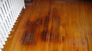 If you use a hydrogen peroxide solution, let it sit on the urine stain for a couple of hours before cleaning it up. Pin On Cleaning Decluttering