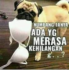 Anjing tua dan lembu yang saling menyerang ini dikarnakan rombongan lembu yang memasuki wilayah anjing tersebut. Zulkefli Zailani Zul310844 Profil Pinterest