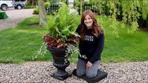 Shade Container Inspiration Garden Answer Youtube Garden Answer Garden Answers Container Gardening Vegetables