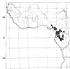 Image result for Sorindeia katangensis