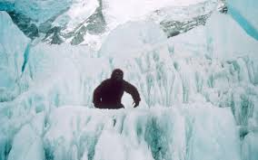 If it does exist in the world's highest elevations, it has the advantage of geographic isolation from human spotters, and is more likely to be able to survive in numbers without. Does The Yeti Exist Scientists Use Dna Evidence In Bid To Solve Mystery Of The Abominable Snowman