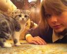 Taylor Swift Buys Scottish Fold Kitten - Vetstreet