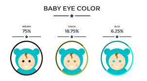 Shes 3 months and its light brown with reddish tints. Take These Fun Online Baby Hair Gender And Eye Color Predictors Bellyitchblog