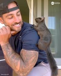 A New York man who turned a rescued squirrel into a social media star is  pleading with state wildlife officials to return his beloved pet. Read  more: https://trib.al/VQ8MgmZ