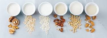 Searching for the best soy milk brands? Plant Based Milk Brands In India Love Veg