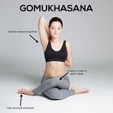 How To Do The Gomukhasana And What Are Its Benefits Yoga Benefits Yoga Tips Ashtanga Yoga