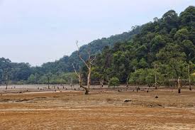 Bumi tua ini juga penuh 1. Bako National Park Sarawak Travel Blog Indonesia