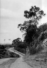 Augusta Road Lenah Valley 1910 Looking Towards Where Calvary Hospital Now Is On The Left Australia History Tasmania Old Photos