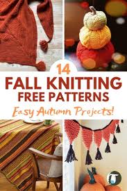 This beanie is really easy to make and will be great for #5. 14 Festive Fall Free Knitting Patterns Blog Nobleknits