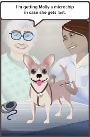 Www.911petchip.com 911petchip sells iso, 134.2 khz microchips as low as $6.63 per chip free. New Entrants To Pet Microchip Market Draw Critics News Vin