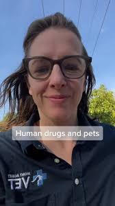 Paracetamol or ibuprofen for pets? #pethealth #vetadvice #paracetamol  #safedrugs #loveyourdog #dogsoftiktok