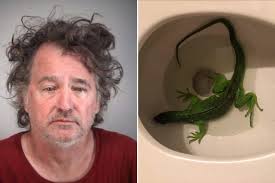 Memes about florida man and related topics. The Wildest Florida Man Headlines We Have Ever Seen Journeyranger Journeyranger
