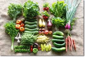 Pin On Community Supported Agriculture