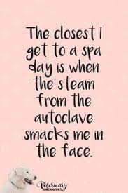 57 Vet Tech Quotes Ideas Vet Tech Quotes Vet Tech Vet Tech Humor