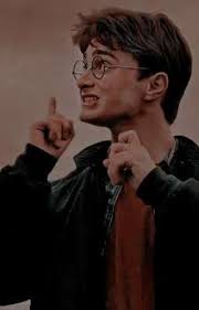 Harry'nin Çiçeği ~Daisy Black~