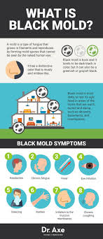 8 Signs You Need A Black Mold Detox Black Mold Exposure Black Mold Symptoms Mold Exposure