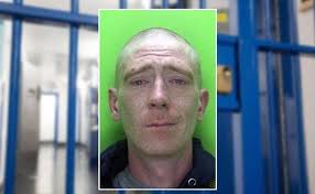 Jail for serial shoplifter who ran into police while fleeing from store