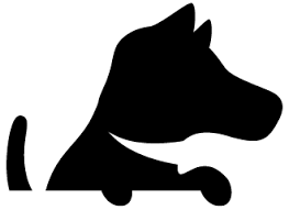 Adopting a dog, cat, kitten or puppy into your home from ahs will be a wonderful experience. Veterinary Clinic Near Me 33713 Animal Medical Hospital