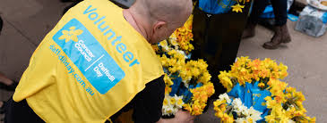 Our volunteers have been advised not the visit hospitals until further. Volunteers Needed For Daffodil Day Appeal Mygc Com Au