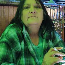 Who can put up Christmas lights in DeSoto, Missouri, preferably insured and  bonded?