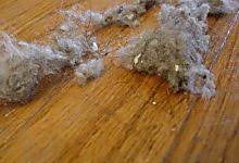 8 Astuces Pour Eviter La Poussiere Dans Votre Chambre Astuces Filtre Hotte Poussiere