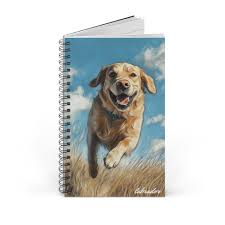 Image result for labrador retrívr