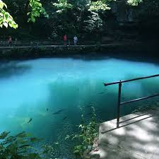 Saw several wildflowers but not as many as i thought we'd see. Maramec Spring Park Picture Of Maramec Spring Park Saint James Tripadvisor