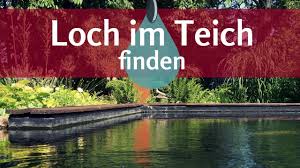 Undichter Teich So Findet Man Einfach Das Loch In Der Teichfolie Youtube