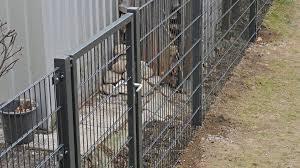 Freistehendes Gartentor Montieren Zaun24 Montageanleitung Schauen Sie Doch Mal Vorbei Zaun24 Der Online Shop Fur Gartentor Gartentore Doppelstabmatten