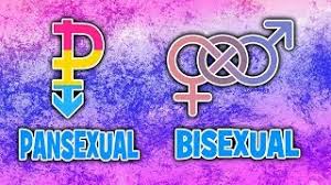 The guitarist, 76, admitted he wasn't bothered about the gender. What S The Real Difference Between Pansexual Bisexual Pansexuality Vs Bisexuality Youtube