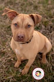 My Bug Photography added a new photo.