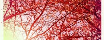 Top family friendly things to do & kid activities in winston salem, nc. The 15 Best Fun Activities In Winston Salem